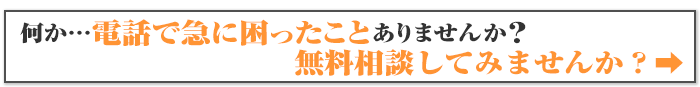 何か…電話で急に困ったことありませんか？特設サイトへ